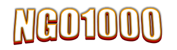 ngo1000.net